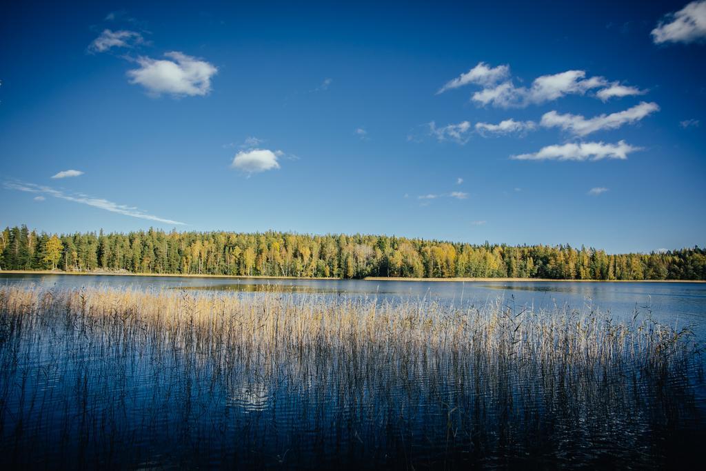 Sleepwell Villa Hartola By The Lake Kirkkola Luaran gambar